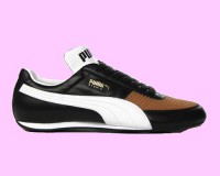 /album/fotogaleria/puma-andres-jpg/